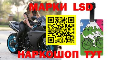 стафф Донецк