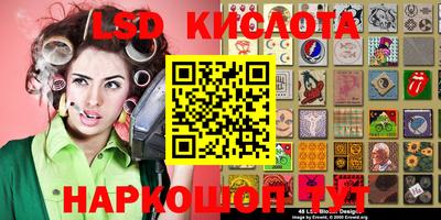 стафф Донецк
