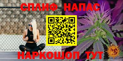 стафф Донецк